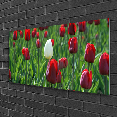 Foto schilderij op glas Tulpen bloemen nature