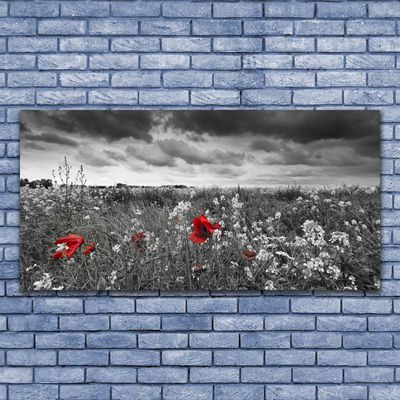 Foto schilderij op glas Bloemen weidelandschap