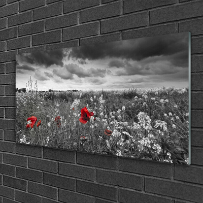 Foto schilderij op glas Bloemen weidelandschap