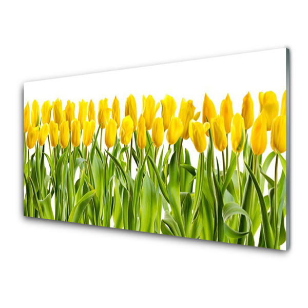 Foto schilderij op glas Tulpen bloemen nature