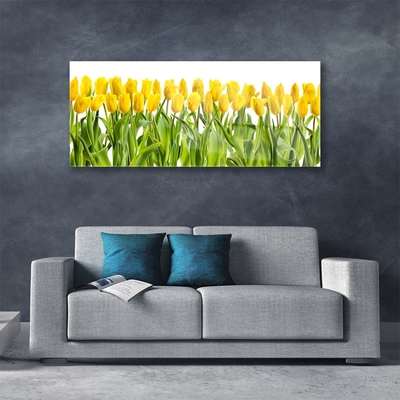 Foto schilderij op glas Tulpen bloemen nature