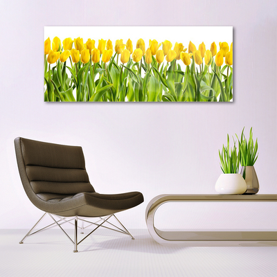 Foto schilderij op glas Tulpen bloemen nature