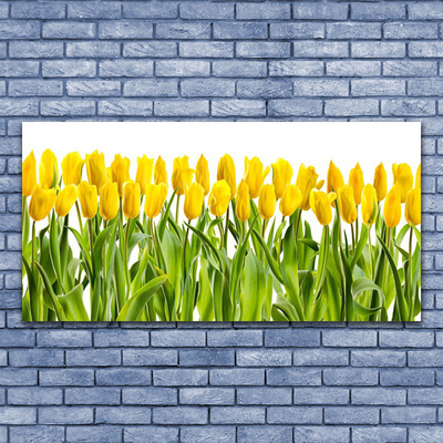 Foto schilderij op glas Tulpen bloemen nature