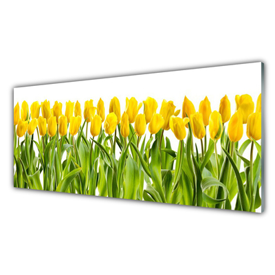 Foto schilderij op glas Tulpen bloemen nature