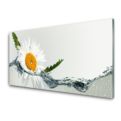 Foto schilderij op glas Daisy waterplant