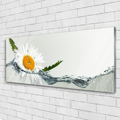 Foto schilderij op glas Daisy waterplant