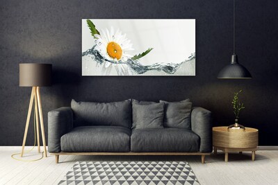 Foto schilderij op glas Daisy waterplant