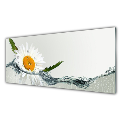 Foto schilderij op glas Daisy waterplant