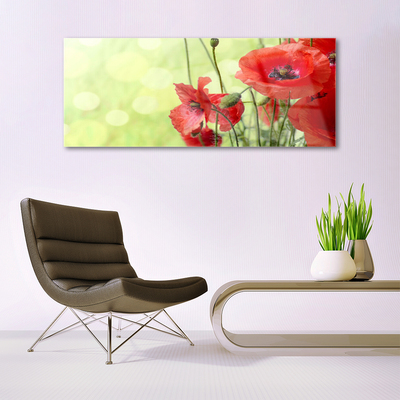 Foto schilderij op glas Klaprozen bloemen nature plant