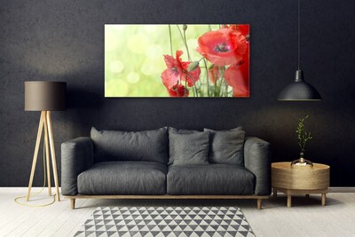 Foto schilderij op glas Klaprozen bloemen nature plant