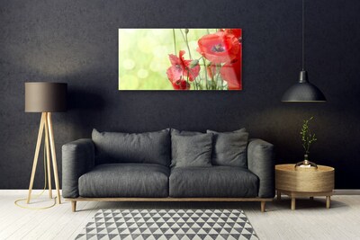 Foto schilderij op glas Klaprozen bloemen nature plant