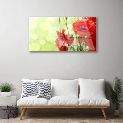 Foto schilderij op glas Klaprozen bloemen nature plant