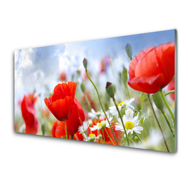 Foto schilderij op glas Poppies daisies flowers