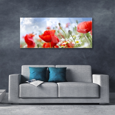 Foto schilderij op glas Poppies daisies flowers