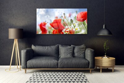 Foto schilderij op glas Poppies daisies flowers