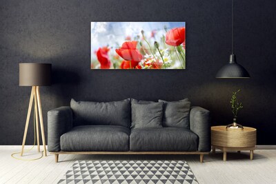 Foto schilderij op glas Poppies daisies flowers