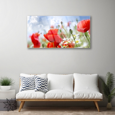 Foto schilderij op glas Poppies daisies flowers