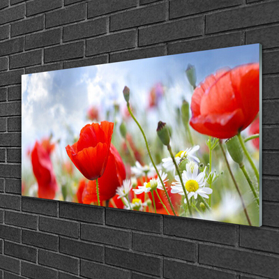 Foto schilderij op glas Poppies daisies flowers