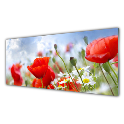 Foto schilderij op glas Poppies daisies flowers