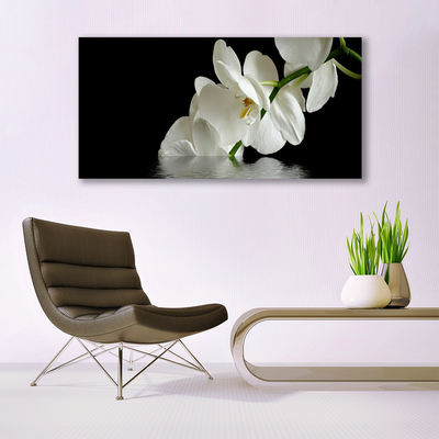 Foto schilderij op glas Orchidee bloemen in het water
