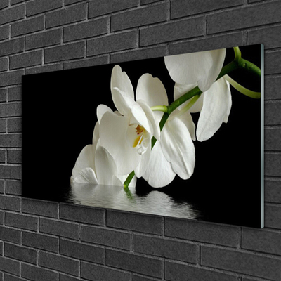 Foto schilderij op glas Orchidee bloemen in het water
