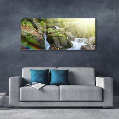 Foto schilderij op glas Rainbow waterfall nature streamen