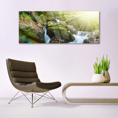 Foto schilderij op glas Rainbow waterfall nature streamen