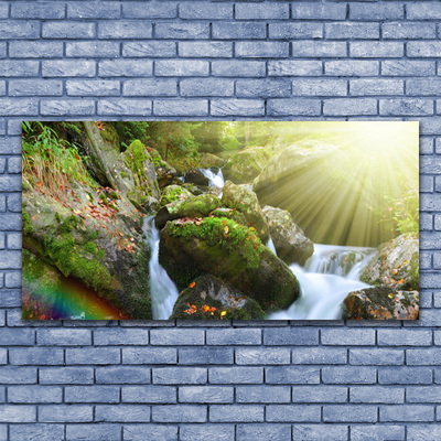 Foto schilderij op glas Rainbow waterfall nature streamen