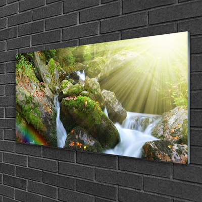 Foto schilderij op glas Rainbow waterfall nature streamen