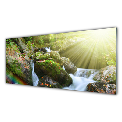 Foto schilderij op glas Rainbow waterfall nature streamen