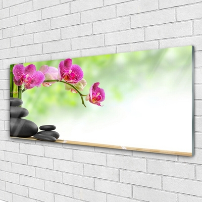 Foto schilderij op glas Shoots bamboo zen stone spa