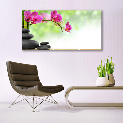 Foto schilderij op glas Shoots bamboo zen stone spa