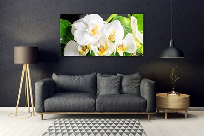 Foto schilderij op glas Orchideebloemen nature