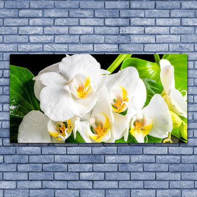 Foto schilderij op glas Orchideebloemen nature