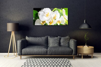 Foto schilderij op glas Orchideebloemen nature