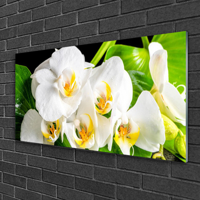 Foto schilderij op glas Orchideebloemen nature