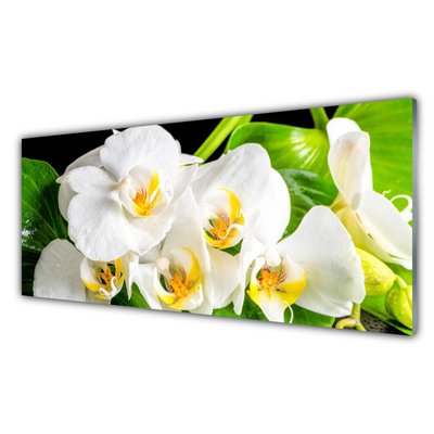 Foto schilderij op glas Orchideebloemen nature