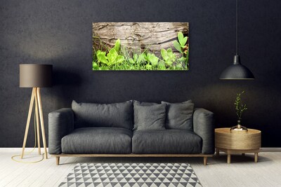 Foto schilderij op glas Leaves of grass bloemen