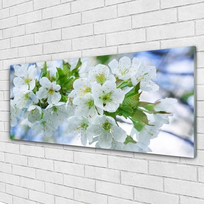 Foto schilderij op glas Bloemen boombladeren nature