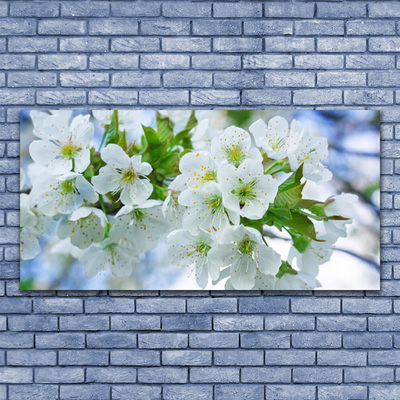 Foto schilderij op glas Bloemen boombladeren nature