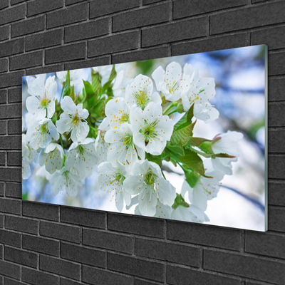 Foto schilderij op glas Bloemen boombladeren nature