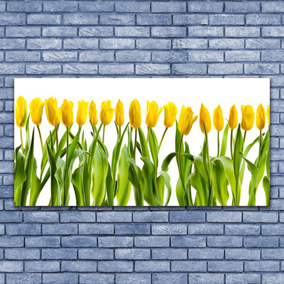 Foto schilderij op glas Tulpen bloemen nature