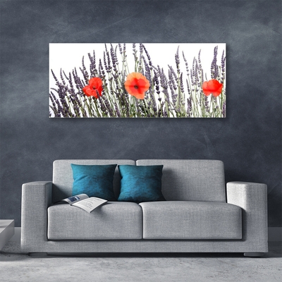 Foto schilderij op glas Poppies gebied van het gras