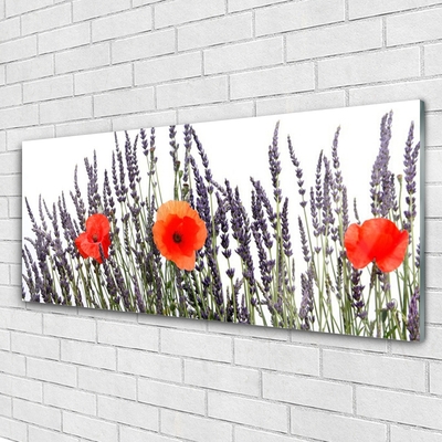 Foto schilderij op glas Poppies gebied van het gras