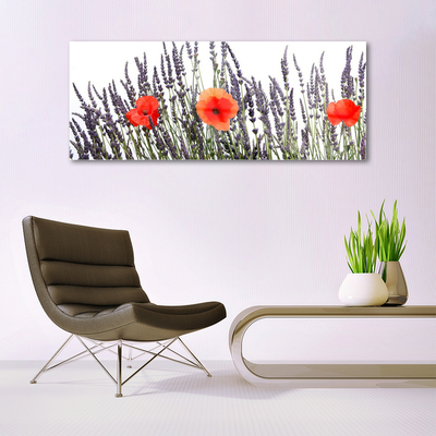 Foto schilderij op glas Poppies gebied van het gras