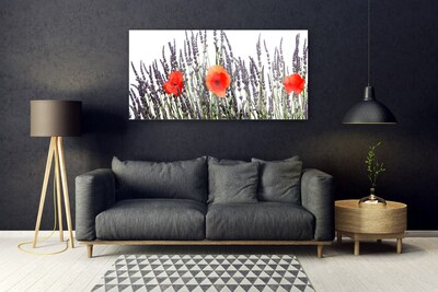 Foto schilderij op glas Poppies gebied van het gras