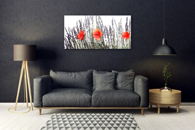 Foto schilderij op glas Poppies gebied van het gras