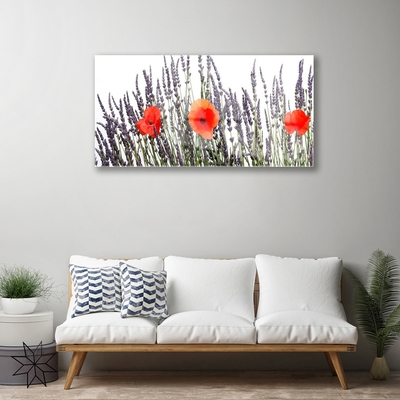 Foto schilderij op glas Poppies gebied van het gras