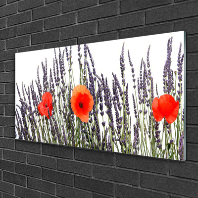 Foto schilderij op glas Poppies gebied van het gras