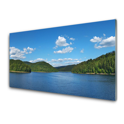 Foto schilderij op glas Lake forest landscape